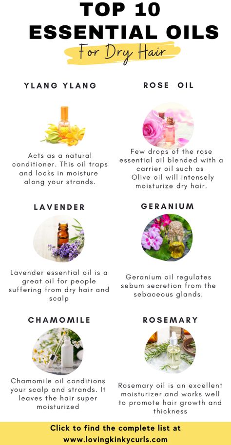 Benefits Of Rose Oil For Hair, Herb For Hair Growth, Essential Oils For Dry Hair, Caring For Dry Hair, Oils For Dry Hair, Oil Benefits For Hair, Best Essential Oils For Hair, Hair Essential Oils, Oil For Dry Hair