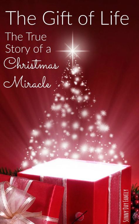 The true story of a Christmas miracle. My family was forever changed one Christmas Eve by the kindness of a stranger we will never know. Free Heart Warming Short Story Of Christmas, Inspirational Christmas Stories, Christmas Eve Christian Quotes, Christmas Miracle Quotes, Miracle Stories, True Christmas, The True Meaning Of Christmas, Christmas Miracle, Easy Kid Activities