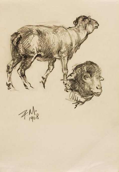 Paul Manship, sketch of sheep Sheep Anatomy Drawing, Paul Manship, Sheep Sketch, Sheep Illustration, Sheep Art, Ink Drawings, Anatomy Drawing, Tattoo Sketches, Ink Drawing