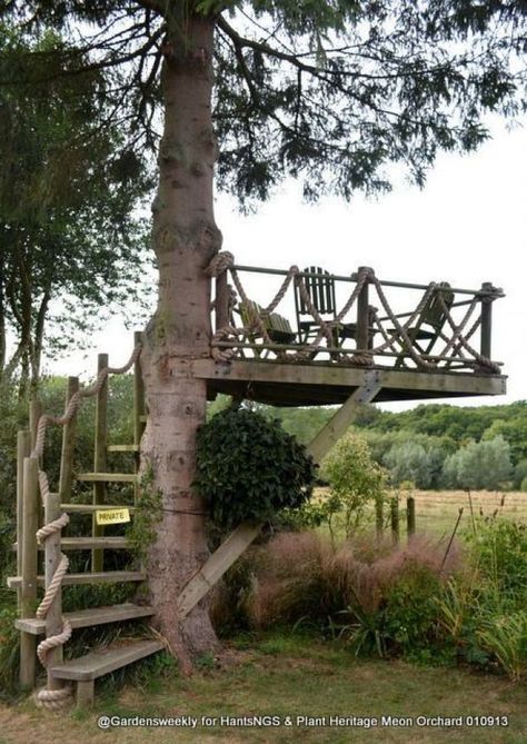 Backyard Fun, Outdoor Rooms, Outdoor Projects, Black Magic, Outdoor Fun, Garden And Yard, A Tree, Tree House, Backyard Landscaping