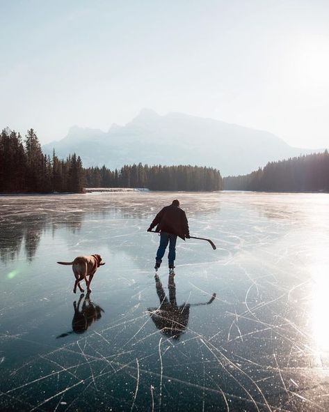 Stevin Tuchiwsky (@stevint) on Instagram Hockey Aesthetic, Hockey Pictures, Ig Account, Frozen Lake, Forest Nature, Adventure Photography, Lake Forest, Lake Louise, Banff National Park