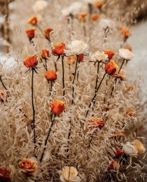 Wedding Decor Rustic, Rustic Wedding Colors, Wedding Plants, Boho Wedding Decor, Outdoor Fall Wedding, Bloom Where You Are Planted, Dried Bouquet, Cowboy Party, Dry Plants