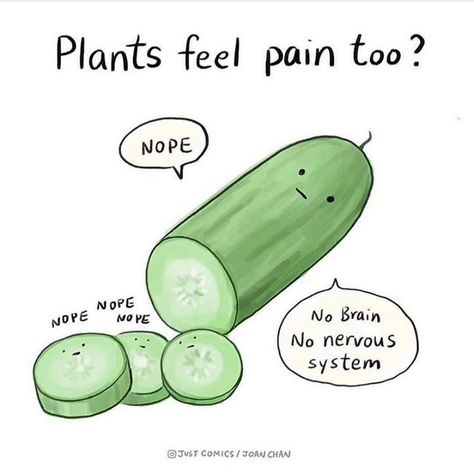 Vegan Topics on Instagram: “Nope, plant don’t feel pain🥒! Tag Someone Below⬇️⁣⁣⁣⁣⁣⁣ ⁣⁣⁣⁣⁣⁣ 💚LIKE to Help Spread the Movement💚⁣⁣⁣⁣⁣⁣⁣ ⁣⁣⁣⁣⁣⁣⁣ ⁣🌱Follow @vegantopics for…” Vegan Facts, Vegan Memes, Animal Activism, Vegan Athletes, Vegan Quotes, Why Vegan, Animal Liberation, Vegan Humor, Vegan Living