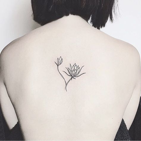 Night Blooming Cactus, Breathing Art, Lil Tattoos, General Tattoo, Epiphyllum Oxypetalum, Night Tattoo, Shadow Tattoo, Nyc Tattoo, Cactus Tattoo