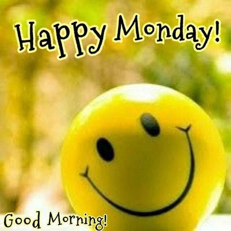 Happy Monday Good Morning, Quote Good Morning, Happy Monday Pictures, Monday Good Morning, Happy Monday Images, Monday Inspirational Quotes, Monday Wishes, Happy Monday Quotes, Happy Monday Morning