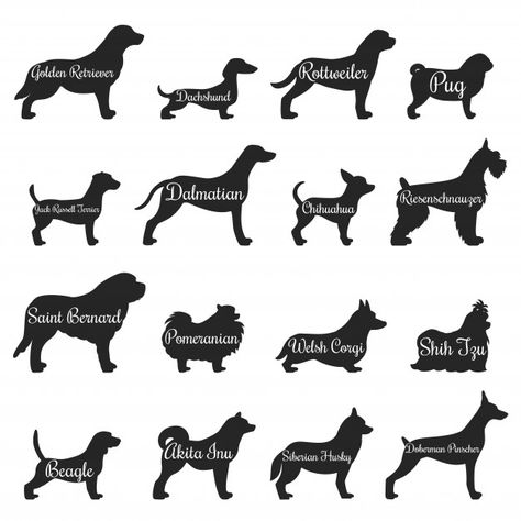 Black Dogs Breeds, Golden Retriever Silhouette, Jack Russell Terriers, Dog Stock Photo, Profile Silhouette, Animal Icon, Cocker Spaniel Dog, Cute Chihuahua, Dog Vector