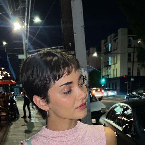 grace brinkly on Instagram: "slaynation" Pretty Pixie Haircut, Twiggy Pixie Haircut, Pixie Hairstyles Straight Hair, Pixie Bangs Short, Grown Out Pixie Haircut, 60s Mod Pixie Cut, Short Pixie Straight Hair, Pixie Cut With Micro Bangs, Pixie Haircut Square Face