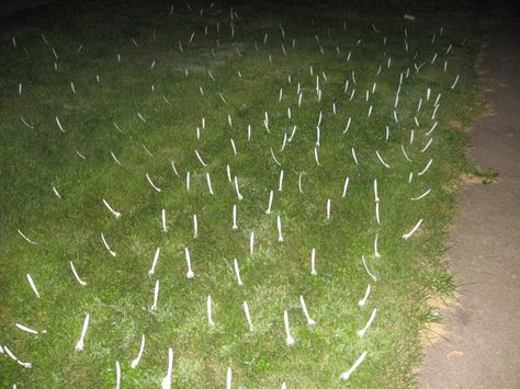 Plastic Forks in the Yard..... Yard Pranks, Halloween Pranks, Oc Template, Plastic Forks, Plastic Cutlery, Paper Tree, Team Effort, Silly Faces, Quotes Deep Feelings