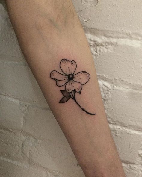 Pacific dogwood from yesterday! Dogwood Flower Tattoo, Dogwood Tattoo, Dogwood Flower Tattoos, Pacific Dogwood, Ancient Tattoo, Dogwood Flower, Dogwood Flowers, Time Tattoos, Cover Up Tattoos