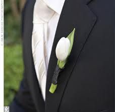 tulip boutonniere Boutonniere Ideas, Bridesmade Hair, Wedding App, Jade Wedding, Tulip Wedding, Wedding Apps, Groomsmen Boutonniere, Wedding Help, Wedding Planning Websites