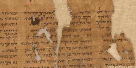 What Are the Dead Sea Scrolls? | Qumran Caves Discovery | IFCJ Ancient Manuscripts, Book Of Esther, Semitic Languages, Dead Sea Scrolls, Hebrew Bible, The Holy Land, The Shepherd, Holy Land, Dead Sea