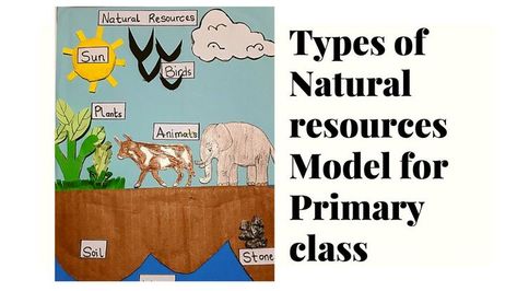 Natural Resources model for Primary class | Science TLM Natural Resources, Science, Novelty Sign, Animals