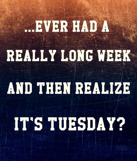 Tuesday Quotes, Tuesday Humor, Weekday Quotes, Funny Quotes Sarcasm, Funny Scenes, Work Memes, Work Quotes, Work Humor, Sarcastic Quotes