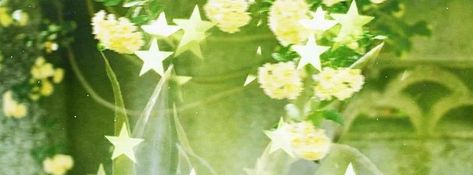 Light Green Twitter Header, Green Header Gif, Light Green Header, Light Green Banner, Strawberry Widget, Aesthetic Bear, Coquette Spring, Green Banner, Theme Phone