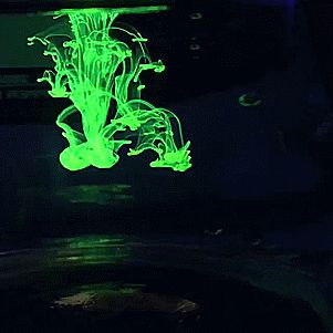 Gifs Cute, Sensory Images, Re Animator, Sensory Boards, Neon Aesthetic, Invader Zim, Moving Image, Mad Scientist, Aesthetic Gif