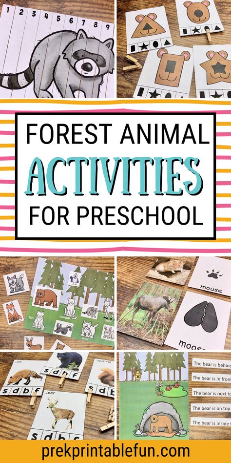 Forest Animals Dramatic Play Preschool, Forest Animal Fine Motor Activities, Forest Math Activities Preschool, Preschool Forest Animal Activities, Fall Animals Preschool Activities, Preschool Deer Activities, Forest Activity For Preschool, Forest Theme Activities For Preschool, Forest Habitat Activities