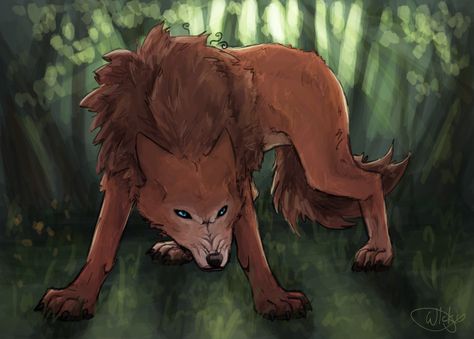 Brown Wolf Art, Wolf Animation, Brown Wolf, Wolf Oc, Wolf Poses, Anime Wolf Drawing, Dog Design Art, Canine Drawing, Fantasy Wolf