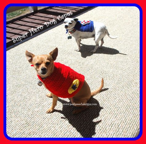 Posh Pooch Designs Dog Clothes: Super Hero Dog Cape Free Crochet Pattern | Posh Po... Dog Cape Pattern, Dog Knitting Patterns, Cape Pattern Free, Dog Superhero, Crochet Clothing Ideas, Crochet For Dogs, Dogs Coat, Dog Knitting, Things For Dogs