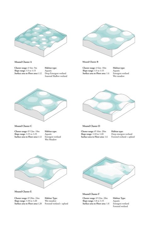 More Water, Less Stones - Swarnabh Ghosh Water Inspired Design, Water Diagram Architecture, Water Diagram, Water Concept, Water Testing, Water Architecture, Landform, Small Backyard Landscaping Ideas, Easy Landscaping