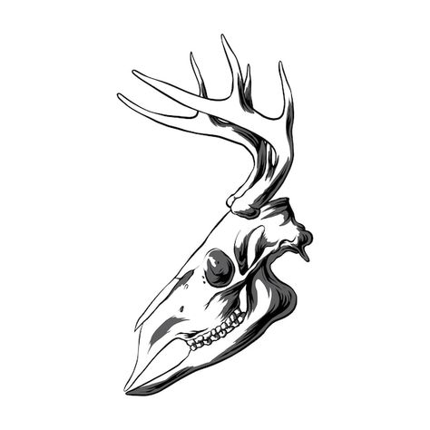 Vector deer head skull vector illustrati... | Premium Vector #Freepik #vector #deer-logo #deer-antlers #animal-skull #deer-head Deer Skull Side View, Deer Skull With Flowers, Skull With Flowers Tattoo, Deer Skull Drawing, Skull Drawing Tattoo, Skull Side View, Skull Couple Tattoo, Elk Skull, Deer Skull Tattoos