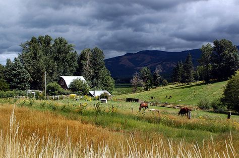 Oregon Farm - near Mt. Hood, Oregon Oregon Homestead, Oregon Farmhouse, Oregon Countryside, Oregon Farm, Mt Hood Oregon, Vision Bored, The Oregon Trail, Nice House, Country Barn