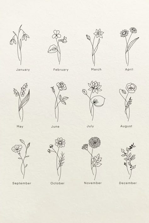 Celebrate the beauty of nature with our Personalized Birth Flower Digital Prints! These elegant, designed prints feature the unique flower associated with each month of the year, offering a meaningful and colorful way to honor birthdays, anniversaries, or any special occasion

#birthflowers #birthmonthflower #flowerstagram #linedrawing #flowerart Minimalist Birth Flower Chart, Flowers Of Months, Nov Birth Flower Tattoos, Birth Month Flower October, Flower Tattoo With Numbers, Taurus Flower Birth Month, Flowers Month Birthday, Birth Month Flowers In Color, Birth Flowers Simple