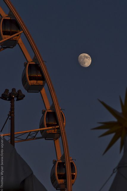 drive Moonstruck Aesthetic, Ferris Wheel Aesthetic, Gibbous Moon, Summer Moon, Photo Wall Collage, Aesthetic Pastel Wallpaper, Tumblr Wallpaper, Pastel Wallpaper, Night Aesthetic