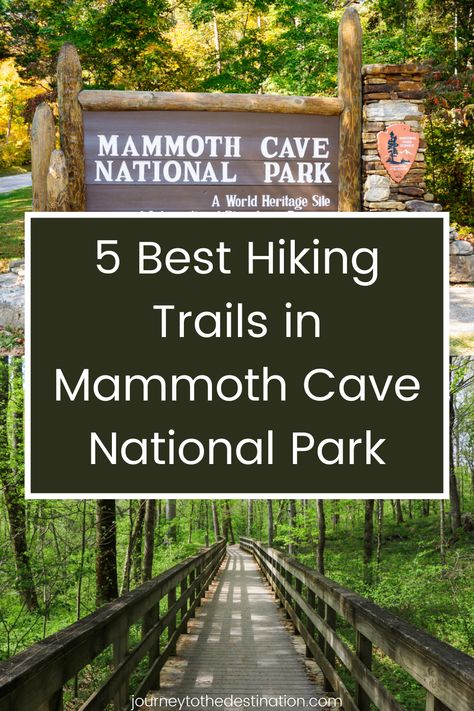 5 Best Hikes in Mammoth Cave National Park Kentucky Mammoth Cave National Parks, Mammoth National Park, Mammoth Cave National Park Hiking, Mammoth Caves National Park, Mamouth Cave National Park, Things To Do Near Mammoth Cave Kentucky, Mammoth Cave National Park With Kids, Mammoth Cave Kentucky, Kentucky Camping