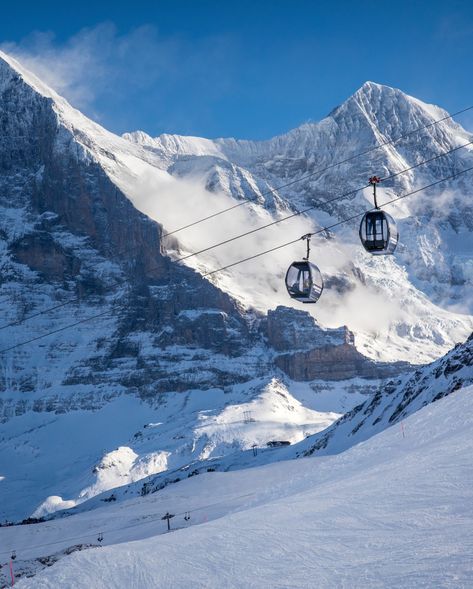 Ready for a relaxing ski holiday to Grindelwald, Switzerland?🇨🇭Ski all day, enjoy the view, and take in all of its unmatched beauty! ⛷️❄️ (📷: Web via Grindelwald Tourismus/@grindelwald_eiger) #skimaxholidays #skimax #skiing #skiswitzerland #switzerland🇨🇭#skivacation #swissalps #ski #skigram #mountainview #peaks #amazingswitzerland Switzerland Skiing, Ski Switzerland, Ski Culture, Ski Vacation, Ski Holidays, Zermatt, Swiss Alps, Ways To Travel, Ski Trip