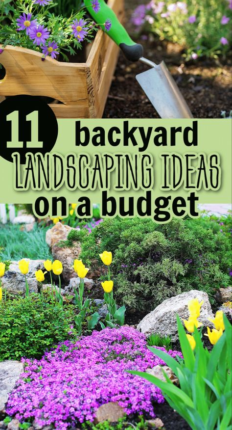 11 Backyard Landscaping Ideas on a Budget Backyard Landscaping On A Budget, Landscaping On A Budget, Large Backyard Landscaping, Cheap Landscaping Ideas, Landscaping Ideas On A Budget, Small Water Features, Growing Veggies, Low Maintenance Landscaping, Backyard Landscaping Ideas