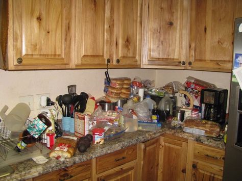 "My wife was complaining she had no cabinet space" See his idea! Kitchen Cabinets Upgrade, Extra Kitchen Storage, Living Room Decor On A Budget, Cabinet Space, Cleaning Wood, Decoration Christmas, Kitchen On A Budget, Diy Home Improvement, Diy Organization