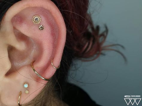 Professional Piercings by Paul on Instagram: “Here's a flat (anti-helix) piercing with jewelry from @bvla and @anatometalinc. I also did the stacked lobes and the conch piercing and all…” Stacked Lobes, Anti Helix Piercing, Piercing Snug, Flat Piercing, Conch Piercing, Helix Piercing, Conch, Helix, Piercing Jewelry