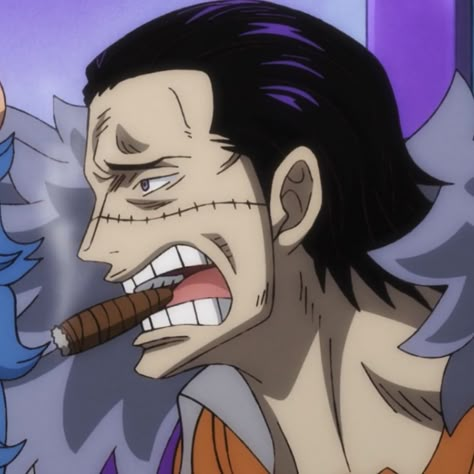 one piece crocodile icon - ep 1086 Sir Crocodile Icon, Cross Guild One Piece, One Piece Crocodile, Cross Guild, In A While Crocodile, Crocodile One Piece, One Piece Ep, Sir Crocodile, One Piece Meme