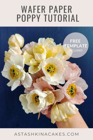 astashkina cakes wafer paper peony how to Edible Paper Flowers, Icelandic Poppy, Poppy Tutorial, Modern Cake, Paper Peony, Icelandic Poppies, Art Cakes, Petal Dust, Wafer Paper Flowers