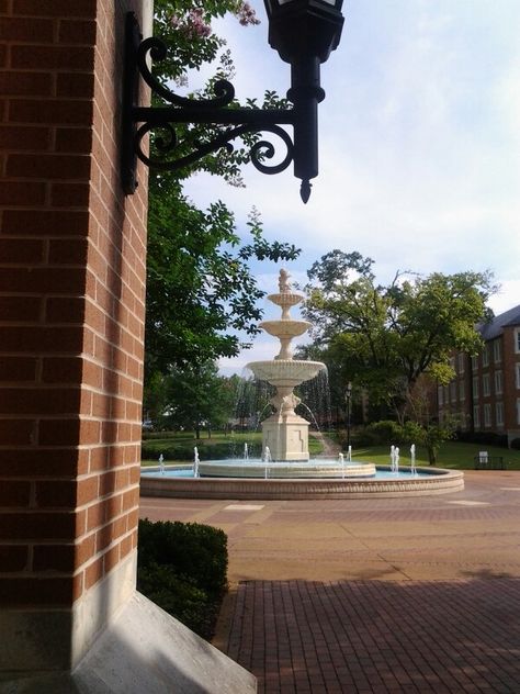 University of North Alabama University Of North Alabama, Florence Alabama, North Alabama, Pond Water Features, Roaring Lion, Backyard Pools, Sweet Home Alabama, Senior Year, Backyard Pool