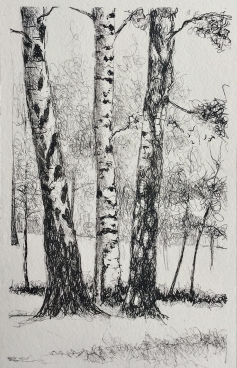 Beautiful Tree Drawing, New York Art Studio, Drawing Workshop, Tree Drawings, Pencil Tree, Ink Pen Art, Tree Drawings Pencil, Tree Sketches, Corporate Art