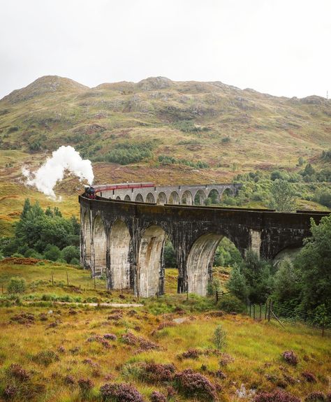 The Hogwarts Express at Glenfinnan Viaduct Jacobite Steam Train, Glenfinnan Viaduct, Scotland Aesthetic, Harry Potter Filming Locations, Hogwarts Express Train, The Hogwarts Express, Scotland Road Trip, Hogwarts Aesthetic, A Globe