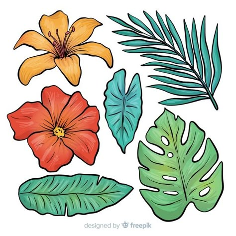 Jungle View, Hawaii Flowers, Jungle Flowers, Folk Art Flowers, Leaf Drawing, Floral Drawing, Plant Drawing, Beautiful Dark Art, Nature Art Painting