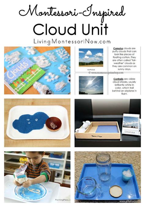 Weather Unit Study, Cloud Activities, Weather Lessons, Preschool Weather, Montessori Science, Weather Crafts, Montessori Lessons, Weather Theme, Weather Unit