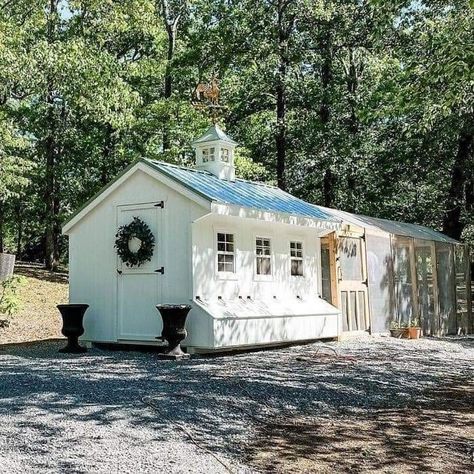 50 Chicken Coop, Homestead Inspiration, Chicken Houses, Poultry Farming, Chicken Home, Backyard Chicken Coop Plans, Chicken Coup, Greek Vacation, Homesteading Ideas