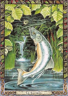 Salmon of Knowledge- Irish myth: this fish used to be a man named Fintan mac Bóchra, but transformed into a salmon. It swam in the well of Wisdom that was surrounded by 9 hazel trees. It ate 9 hazelnuts from these trees and gained all the knowledge of the world. The first person to eat the flesh of the salmon will gain all its knowledge. Fishing Painting, Celtic Druids, Animal Tarot, Animal Spirit, Celtic Mythology, Magic Realism, Celtic Design, Celtic Art, Practical Magic