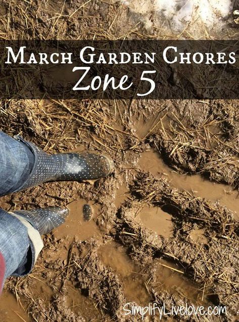 Zone 5 Gardening, Zone 5 Garden, Box Gardens, Fall Vegetable Gardening, Garden Bed Plans, Diy Landscaping Ideas, Garden Prepping, Organic Gardening Pest Control, Raised Garden Bed Plans