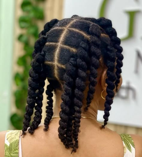 Fabulous Twist Braids for Natural Hair Natural Hair Stylists, Protective Hairstyles For Natural Hair, Quick Natural Hair Styles, African Hair Braiding Styles, Natural Hair Twists, Pelo Afro, Hair Twist Styles, Natural Hair Styles Easy, Natural Hair Updo