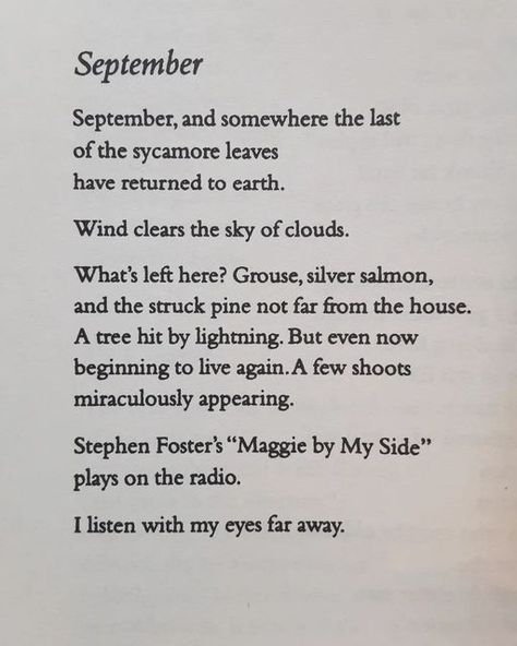 @poetryisnotaluxury on Instagram: "Raymond Carver September From All of Us: The Collected Poems Knopf Doubleday Publishing Group, 2015 #raymondcarver #poetryisnotaluxury #septembersong #poetrycommunity" September Poetry, Poem About September, September Poem, Poetry About November, Quotes About September, Poetry About Seasons, Late October Poem, November Last Night Poetry, Raymond Carver Poems