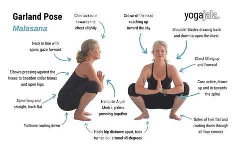 Garland Pose (Malasana) Garland Pose Yoga, Malasana Pose, Garland Pose, Lower Back Injury, Chin Tuck, Crow Pose, Chair Pose, Mountain Pose, Deep Squat