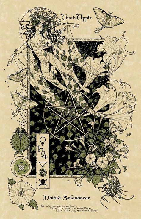 Thorn Apple, Apple Art Print, Witch's Garden, Witch Garden, Apple Art, Fairy Aesthetic, Arte Inspo, Witch Aesthetic, Spell Book