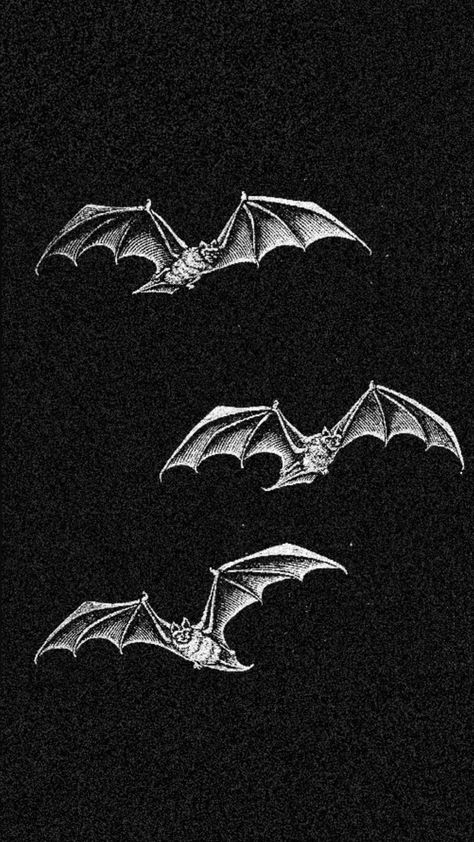 My Chemical Romance Wallpaper, Scary Wallpaper, Goth Wallpaper, Gothic Wallpaper, Witchy Wallpaper, Halloween Wallpaper Iphone, Black Ink Tattoos, Fantasy Aesthetic, Pretty Photos