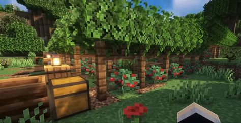 Minecraft Berry Farm Ideas, Minecraft Glow Berries Farm, Glow Berry Farm Minecraft, Minecraft Berry Farm, Survival Minecraft, Crop Farming, Minecraft World, Minecraft Farm, Easy Minecraft Houses