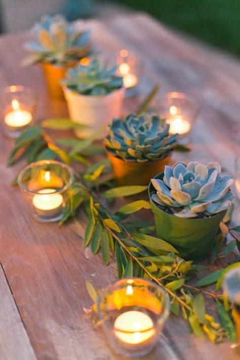 Succulent Centerpiece Table Decorations With Succulents, Plant Themed Party Decor, Plant Party Theme, Plant Themed Bridal Shower Ideas, Plant Themed Party, Plant Themed Wedding, Succulent Wedding Table, Spring Theme Party, Succulent Wedding Centerpieces