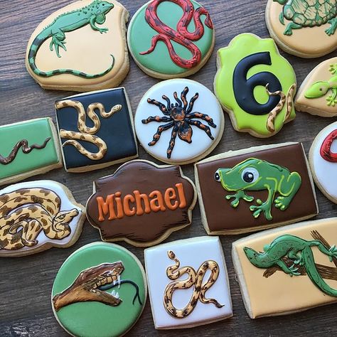 NatSweets Cookies Custom Cookies Santee CA | Birthday - Kids Reptile Cookies, Cookie Pricing, Custom Birthday Cookies, Nature Birthday Party, Bug Themed Party, Natural Birthday Party, Cookies Sprinkles, Reptile Birthday Party, Nature Birthday